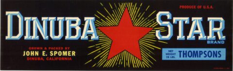 Dinuba Star